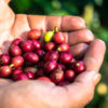 Kaffee-Abo Jaime - Filterkaffee - Bio Fairtrade Specialty Coffee - Image 6